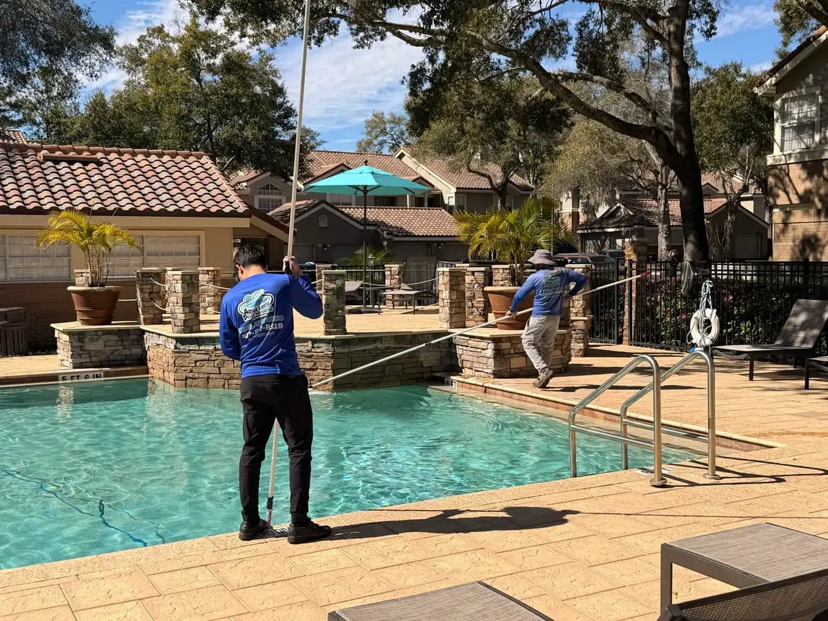 Professional Pool Cleaning: What's Included