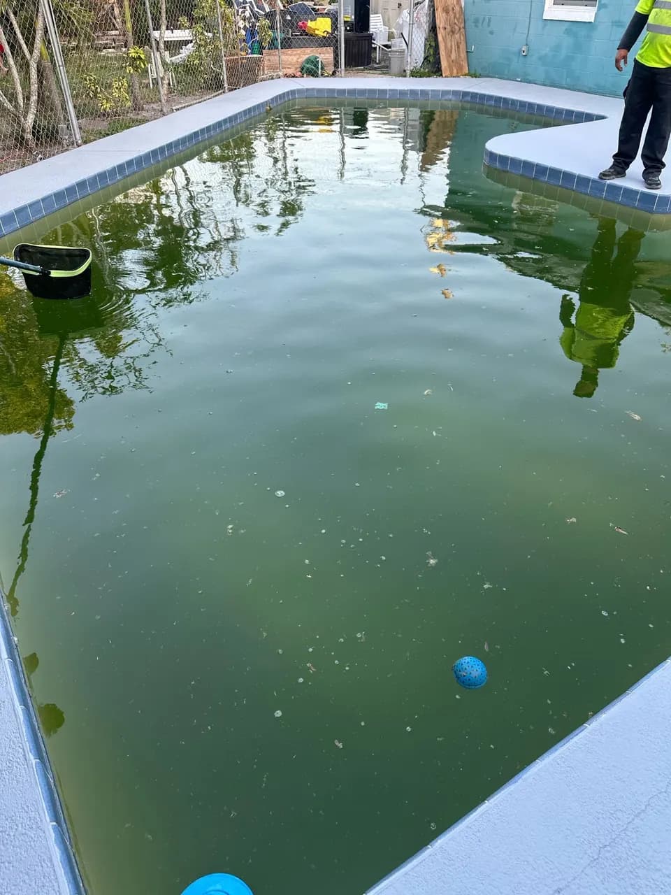 Green Pool Cleaning in Orlando, FL
